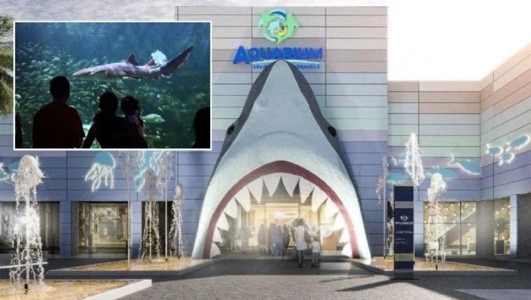 Avanza remodelación del ‘Aquarium’ en Veracruz, colocan cabeza de tiburón en fachada