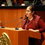 Presenta Senadora veracruzana iniciativa para preservar identidad de los menores en la sociedad