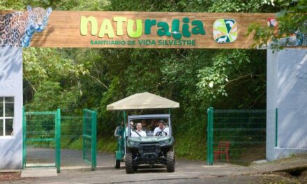 ‘Naturalia’ se inaugura el domingo adelantó Cuitláhuac García