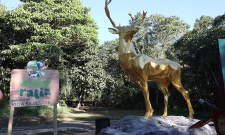 ‘Naturalia’ atractivo turístico en Xalapa que promueve el respeto a la naturaleza