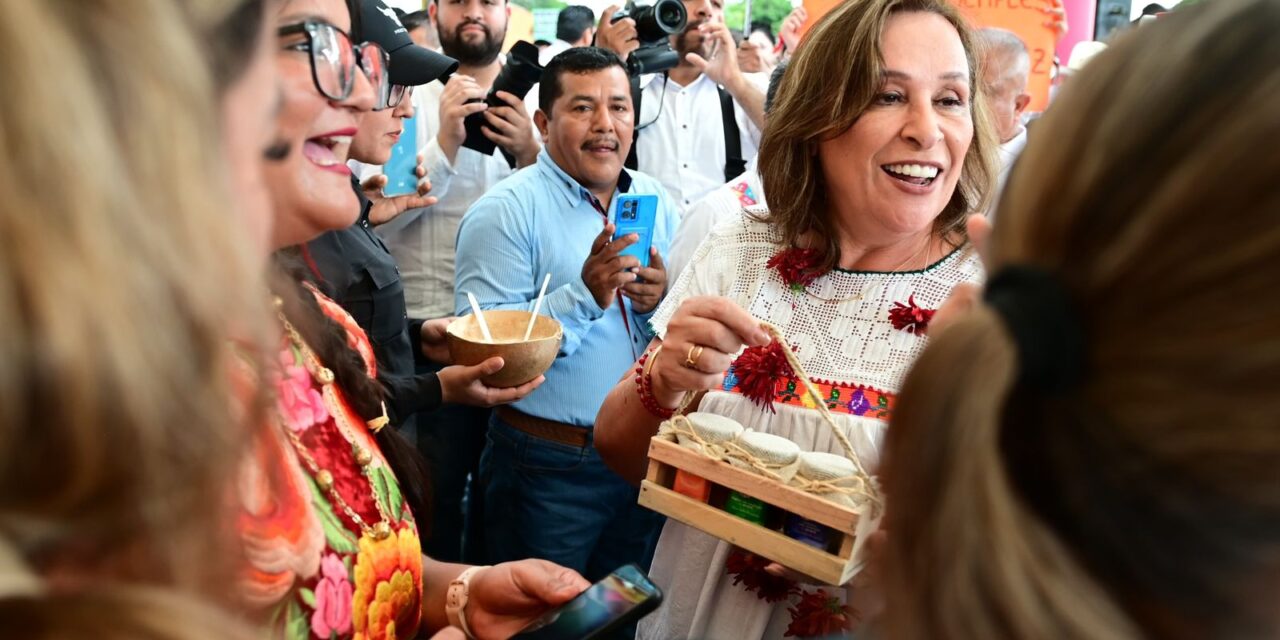 Por amor a Veracruz, Rocío Nahle también pondrá de moda al campo