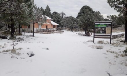 Registra Veracruz primera nevada de la temporada en el Cofre de Perote