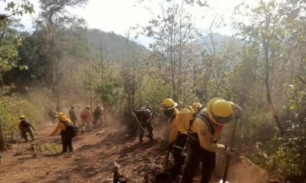 Inicia capacitación contra incendios forestales en Veracruz