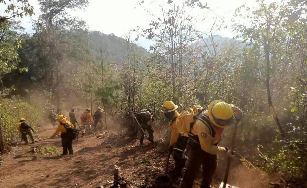 Inicia capacitación contra incendios forestales en Veracruz