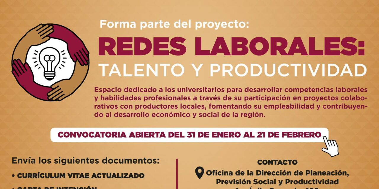 Secretaría de Trabajo crea Redes Laborales para universitarios