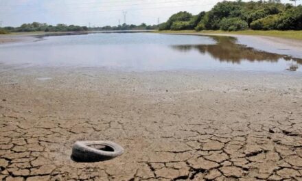 Monitor de sequía en Veracruz reporta seis municipios ‘anormalmente secos’