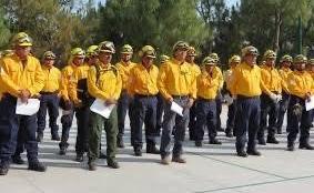 Preparado Veracruz para enfrentar temporada de incendios forestales