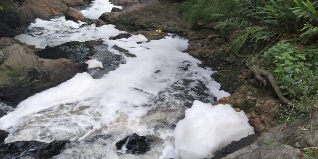 Ingenio de caña y café contaminan río de ‘Los Pescados’ en Jalcomulco