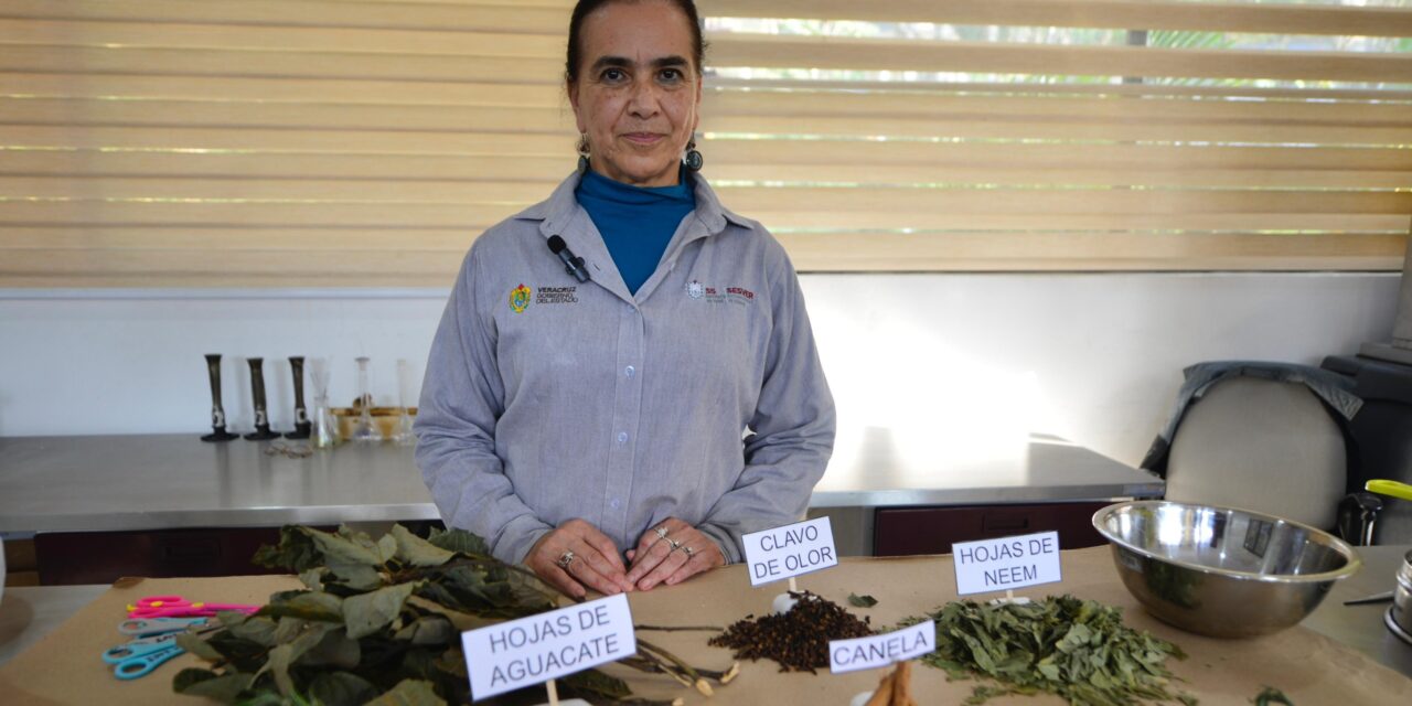 Repelente herbolario, alternativa ecológica para prevenir el dengue