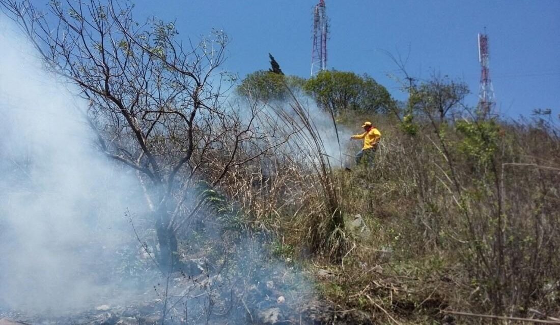 Suma Veracruz 16 incendios forestales, ocupa el 9º lugar nacional