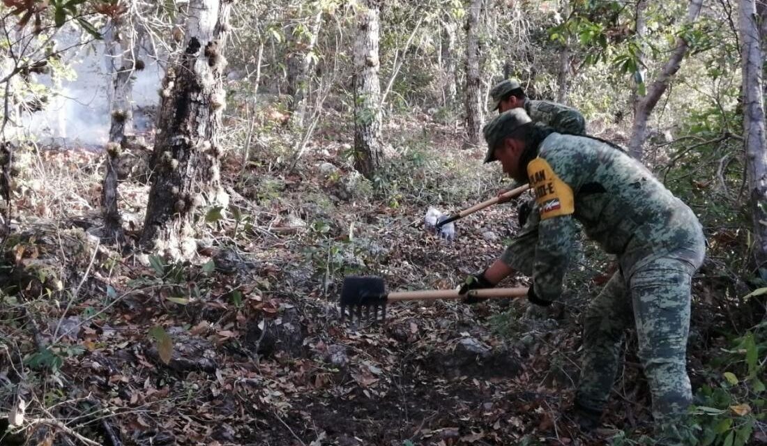 Veracruz registra 21 incendios forestales y 12.6 hectáreas afectadas