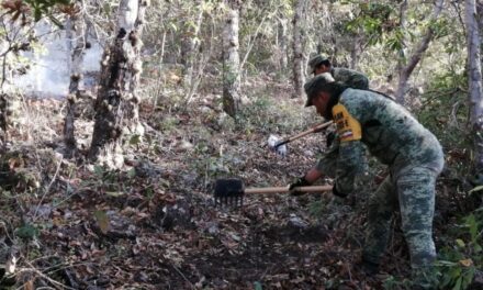 Veracruz registra 21 incendios forestales y 12.6 hectáreas afectadas