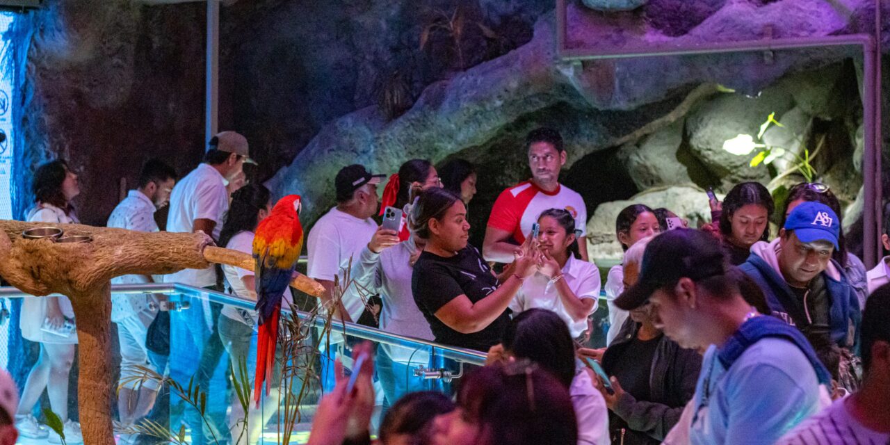 Más de 8 mil visitantes disfrutaron del Martes Gratis en Aquarium del Puerto