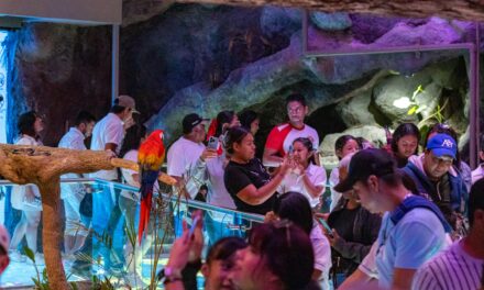 Más de 8 mil visitantes disfrutaron del Martes Gratis en Aquarium del Puerto